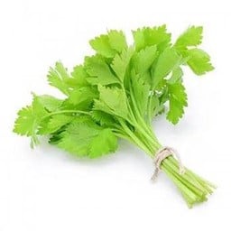 ขึ้นฉ่าย (Celery)