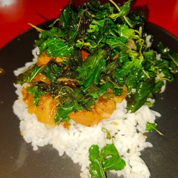 กะเพราไก่กรอบราดข้าว