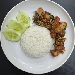 ข้าวกะเพราหมูกรอบ