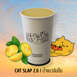 น้ำแมวฉ้มปั่น CAT SLAP 2.0