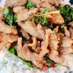 ผัดกะเพราหมูชิ้นราดข้าว