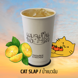 น้ำแมวฉ้ม CAT SLAP