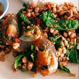 ข้าวราดกะเพราไข่เยี่ยวม้าหมูสับ