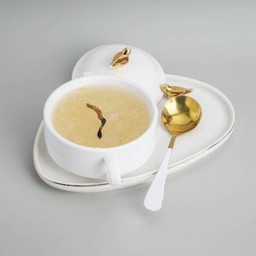 รังนกขาวถังเช่า 冬虫夏草炖燕窝 Stewed Bird's Nest with Chinese Caterpillar Fungus
