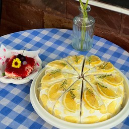 Shiro cafe ชีโร่ คาเฟ่