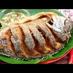 ปลานิลตัวทอด+น้ำจิ้มแจ่ว