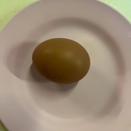 ไข่ต้ม (ฟอง)