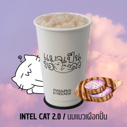 นมแมวเผือกปั่น INTEL CAT 2.0