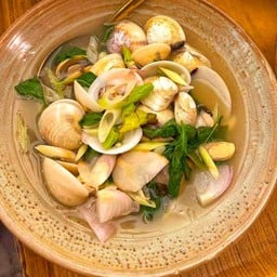 หอยกระปุก