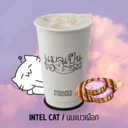นมแมวเผือก INTEL CAT