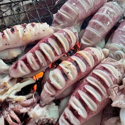 หมึกไข่ย่าง