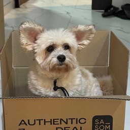 ให้ค่าขนมน้องกำไร