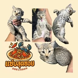 ฝากให้ทิปน้องด้วยนะค้ะ 5-10฿