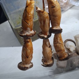 ชุดเห็ดย่าง 5 ไม้ ใน Cup แบบหันให้เลย