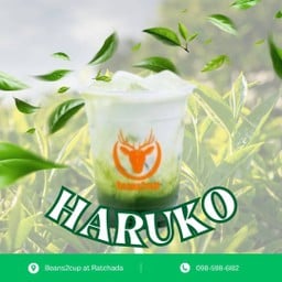 HARUKO (Latte)