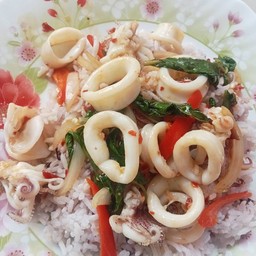 ข้าวราดกะเพราปลาหมึก