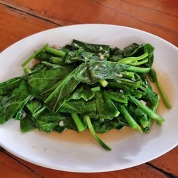 คะน้าน้ำมันหอย