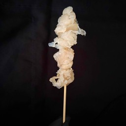 แมงงกระพรุน