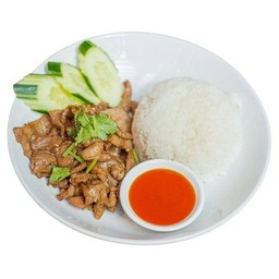 ข้าวกระเทียมพริกไทย (ร้านข้าวทิพย์อาหารตามสั่ง)