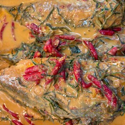 ฉู่ฉี่ปลาทู