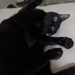 น้องร่ำรวย