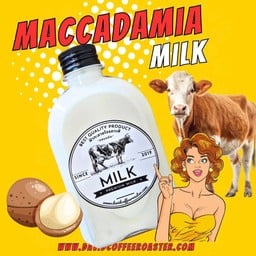 นมเเมคคาเดเมีย (เฉพาะขวด)