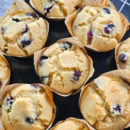 Blueberry Muffin