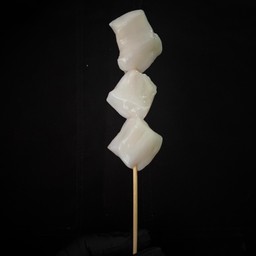 ปลากหมึก