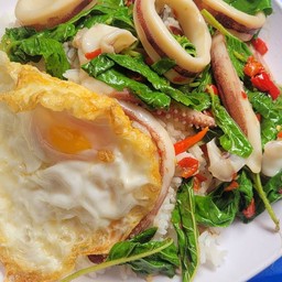 ข้าวกะเพราหมึกไข่ดาว
