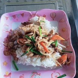 ผัดพริกขิง ไก่