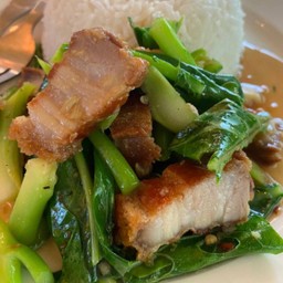 ผัดคะน้า ราดข้าว