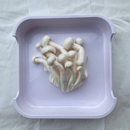 เห็ดชิเมจิขาว