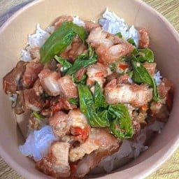 กะเพราอวบอึ๋ม