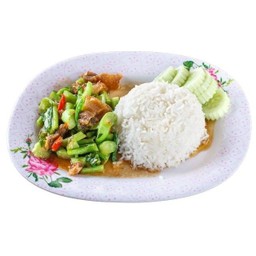 ข้าวผัดคะน้าราดข้าว (ร้านข้าวทิพย์อาหารตามสั่ง)
