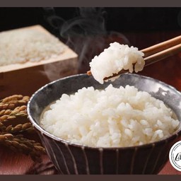 ข้าวญี่ปุ่นสายพันธุ์พรีเมี่ยม