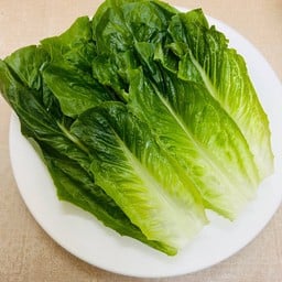 ผักกรีนคอส Green cos lettuce