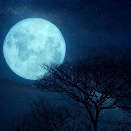 Over The Moon @ I’m So Blue