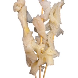 สไบนาง