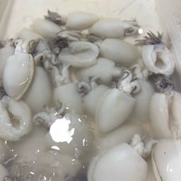 ปลาหมึกกระดอง ปริมาณ ครึ่งกิโล