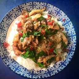 กะเพรา+เบคอน ราดข้าว