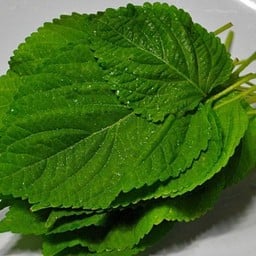 KOREAN PERILLA ( 4 ใบ/SERVE )