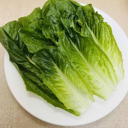 ผักกรีนคอส Green cos lettuce