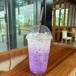 เผื่อหอมนมสดเย็น