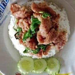 ข้าวกะเพราหมูหมักพิเศษ
