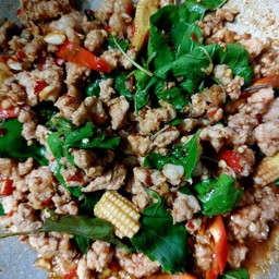 กระเพราหมูสับ