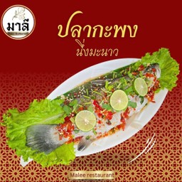 ปลากะพงนึ่งมะนาว(เป็นตัว) (Ikan Siakap stim Limau)