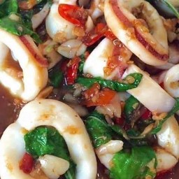 กระเพราปลาหมึก (กับข้าว)