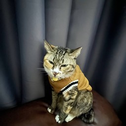 ทิปให้น้อนสายหยุด