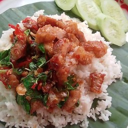 กะเพราถาด ซอย.8