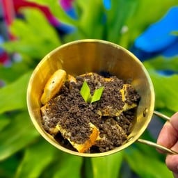 เนยนมโอริโอ้